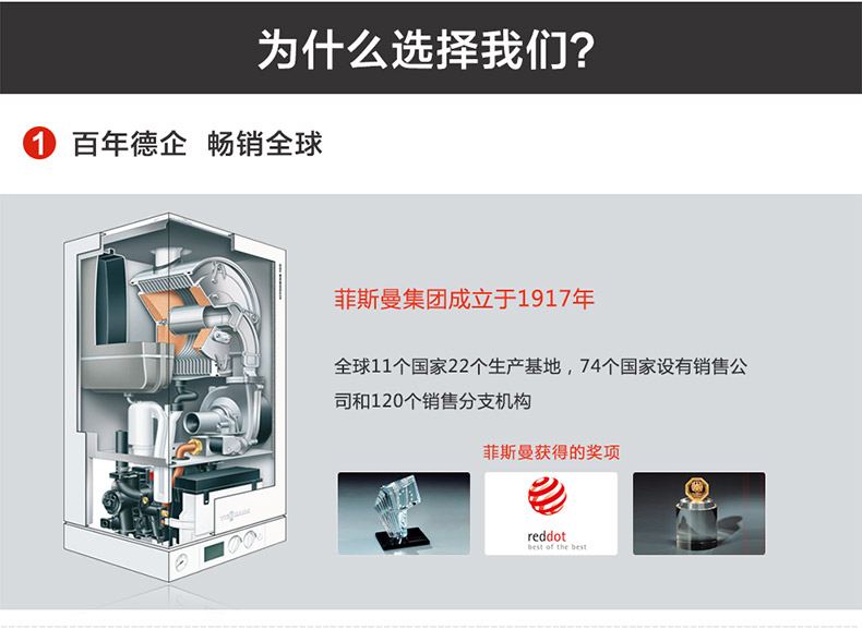 大興菲斯曼壁掛爐安裝