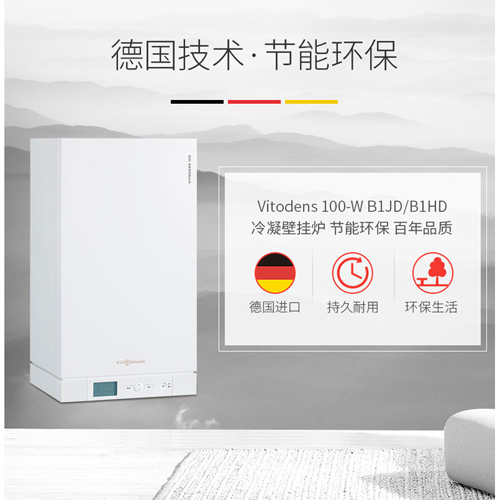菲斯曼壁掛爐圖片