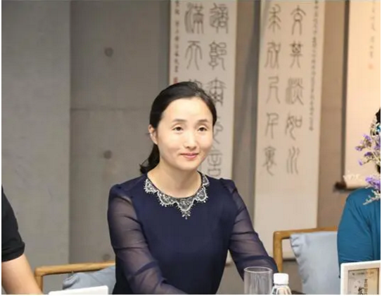 北京蘇寧壁掛爐秋季換新季活動正式啟動_壁掛爐跳閘