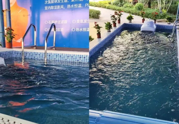 三集一體泳池除濕熱泵效果_熱立方空氣能價(jià)格
