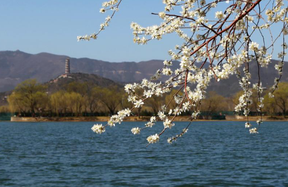采暖季結束，是時候深度了解壁掛爐的清洗除垢與保養(yǎng)知識了_壁掛爐使用壽命多少年