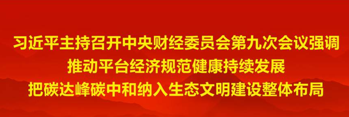 【行業(yè)觀察】中央財經(jīng)委員會第九次會議聚焦碳中和與平臺經(jīng)濟_壁掛爐聲音大