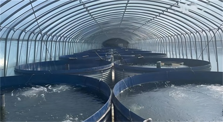 水產(chǎn)養(yǎng)殖空氣能熱泵：效果究竟如何？_空氣源熱泵采暖價(jià)格
