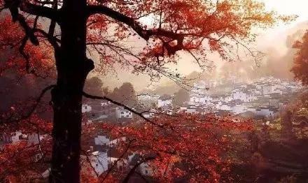 天氣轉(zhuǎn)涼，秋季安裝壁掛爐正當(dāng)時(shí)！_壁掛爐吧