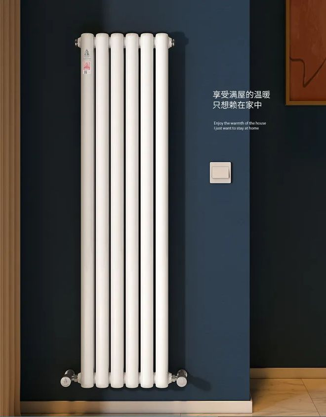 中國暖氣片品牌產(chǎn)品特點(diǎn)_老式暖氣片一片有11斤的嗎