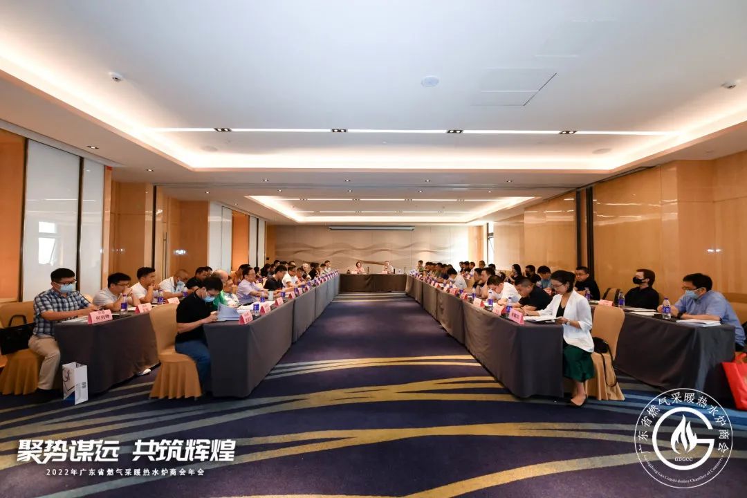 載譽而歸|迪森家居斬獲企業(yè)標(biāo)準(zhǔn)“領(lǐng)跑者”等八項大獎！_壁掛爐怎么操作