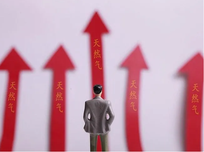 后煤改氣時代，燃?xì)忮仩t該何去何從_威能燃?xì)獗趻鞝t