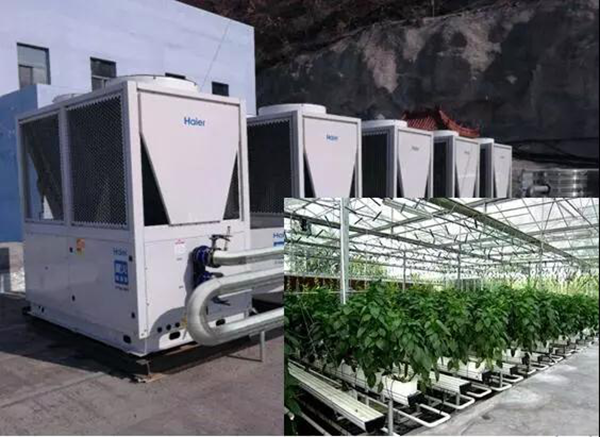 用海爾空氣能取暖天津蔬菜大棚越冬環(huán)保又經(jīng)濟(jì)！_空氣能供暖工作原理圖