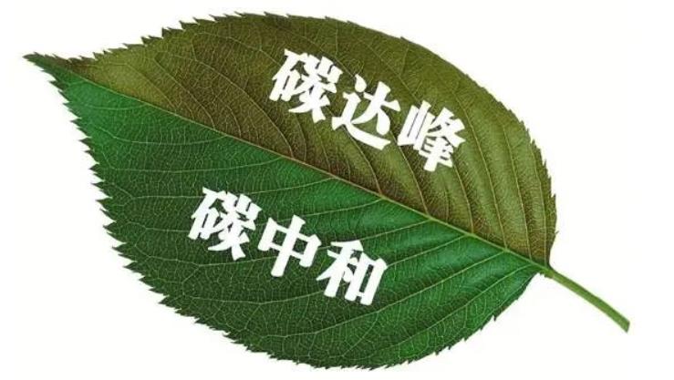 “碳中和”愿景下，暖通行業(yè)該如何發(fā)力？_威能壁掛爐f22