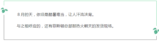 【菲斯頓壁掛爐】８月發(fā)貨很繁忙，銷售業(yè)績節(jié)節(jié)高_(dá)壁掛爐如何加壓