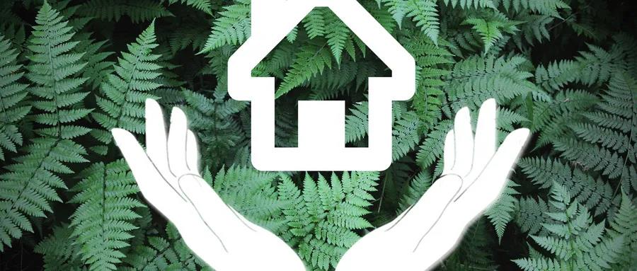 綠色小心機(jī)，家裝大收獲！_壁掛爐維修多少錢