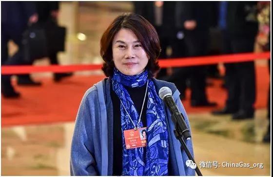 格力電器董事長董明珠談煤改氣_壁掛爐補水閥在哪
