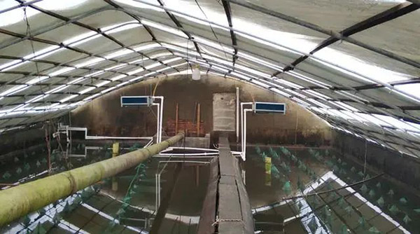 空氣能采暖是甲魚養(yǎng)殖水溫的最佳解決方案_空氣能熱水器維修服務(wù)電話