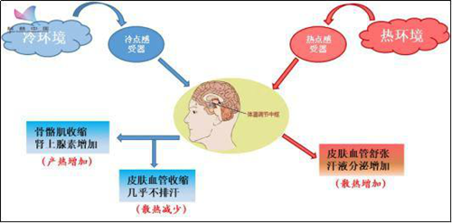 家庭采暖系統(tǒng)的最佳溫度調(diào)控區(qū)間你清楚嘛？_電暖壁掛爐