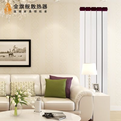 家用煤氣散熱器安裝及保養(yǎng)方法介紹_暖如家網(wǎng)