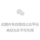重磅！2024年度中國(guó)家電行業(yè)磐石獎(jiǎng)揭曉，迪森再獲兩項(xiàng)殊榮_林內(nèi)壁掛爐e6