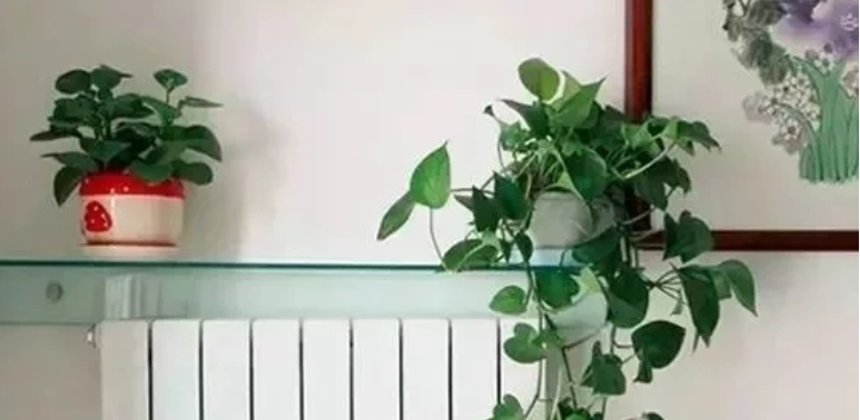 暖氣片為什么會熏墻，熏墻怎么辦？_暖如家網(wǎng)