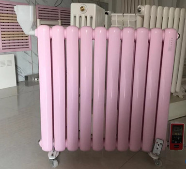 為什么南方家庭都會(huì)選擇電暖氣而非暖氣片？_暖如家網(wǎng)