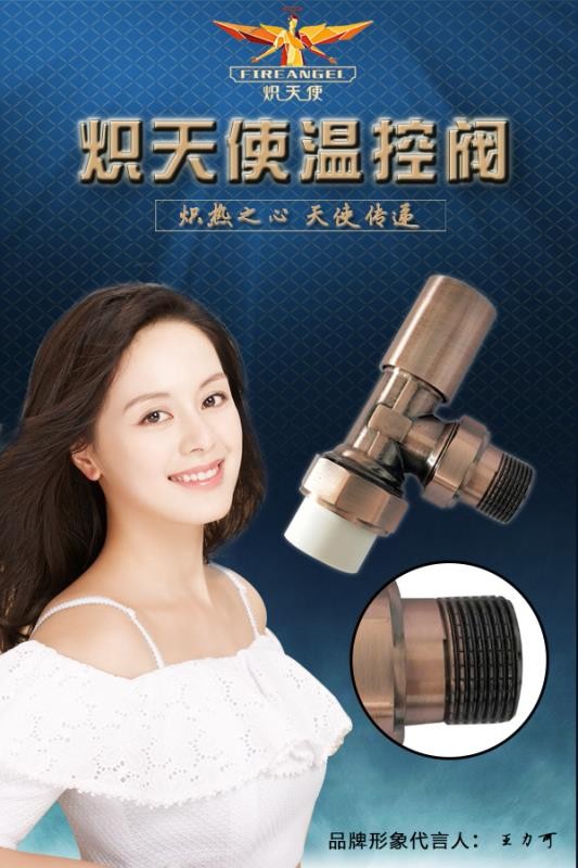 熾天使散熱器產(chǎn)品效果展示_暖如家網(wǎng)